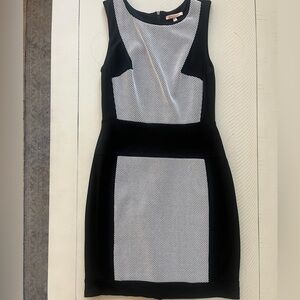 Black and white sleeveless sheath dress.white mesh paneling for a fun look.